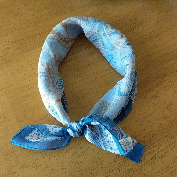 Accessories - 5/$20 Final 🏷️⬇️ NWOT Blue/Tan Paisley Chiffon Scarf